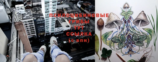 ГАЛЛЮЦИНОГЕННЫЕ ГРИБЫ Щёлкино